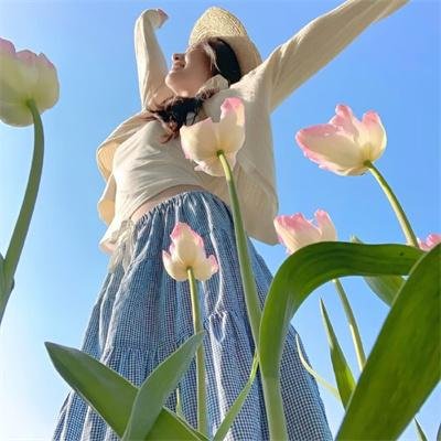 政客诚实中